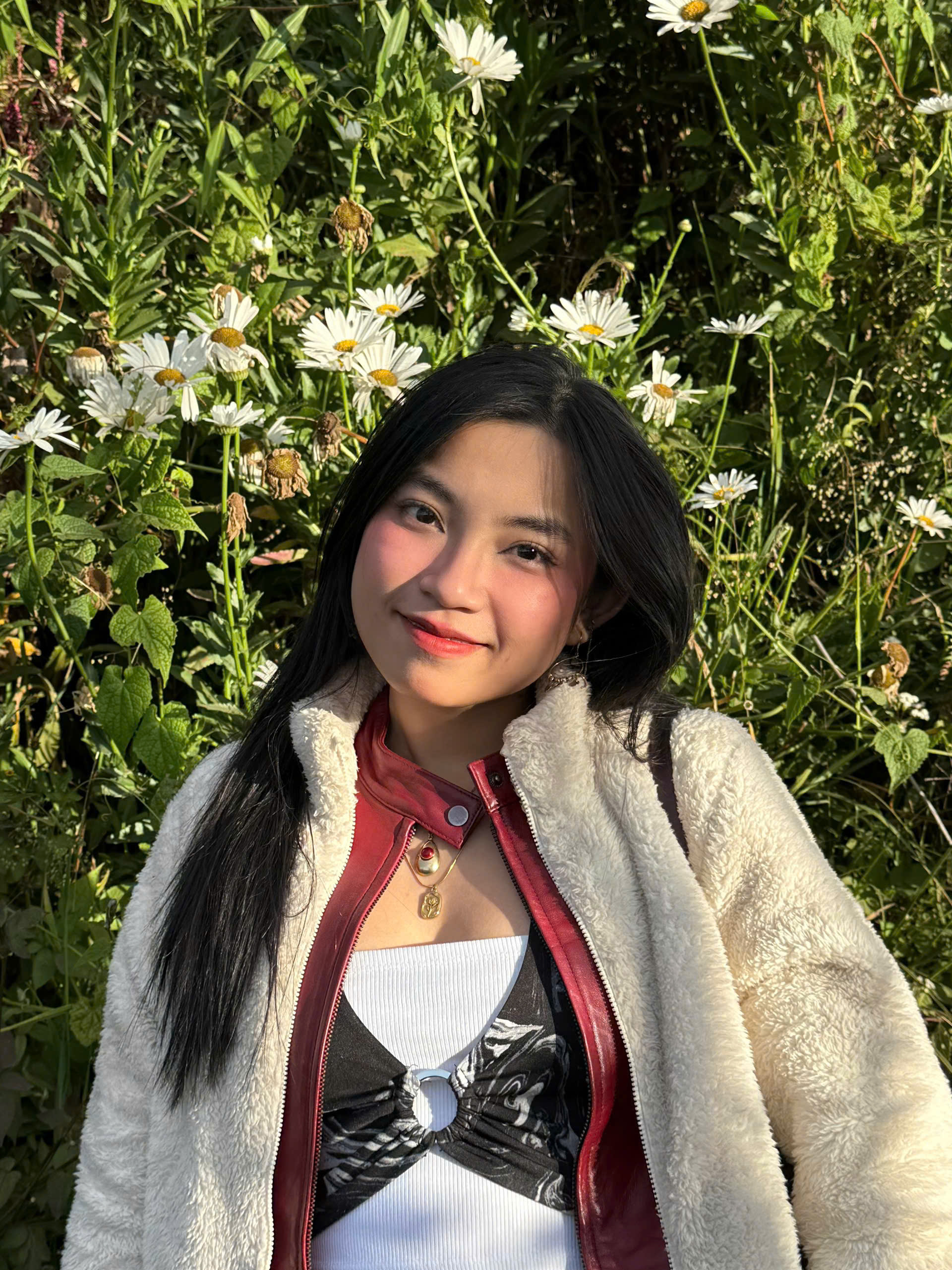 Ms Hà My